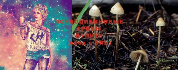 герыч Алексин