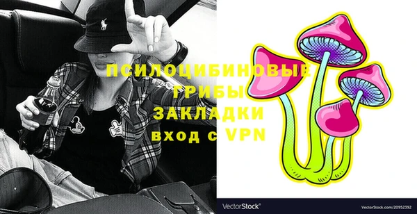 герыч Алексин