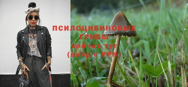 герыч Алексин