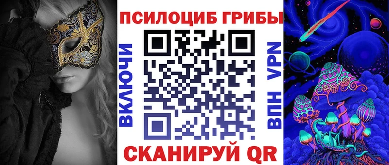 Галлюциногенные грибы Psilocybine cubensis  Богородск 